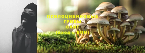 соль ск Алзамай