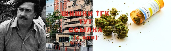 гидра Алексин